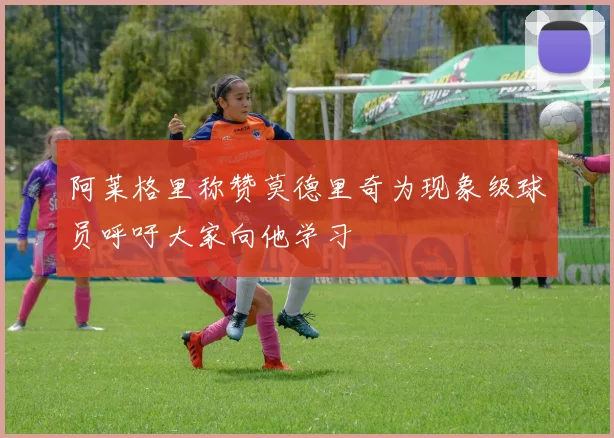 阿莱格里称赞莫德里奇为现象级球员呼吁大家向他学习