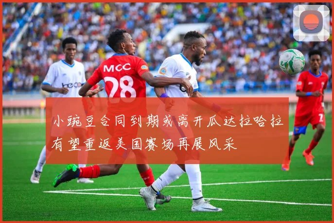 小豌豆合同到期或离开瓜达拉哈拉有望重返美国赛场再展风采
