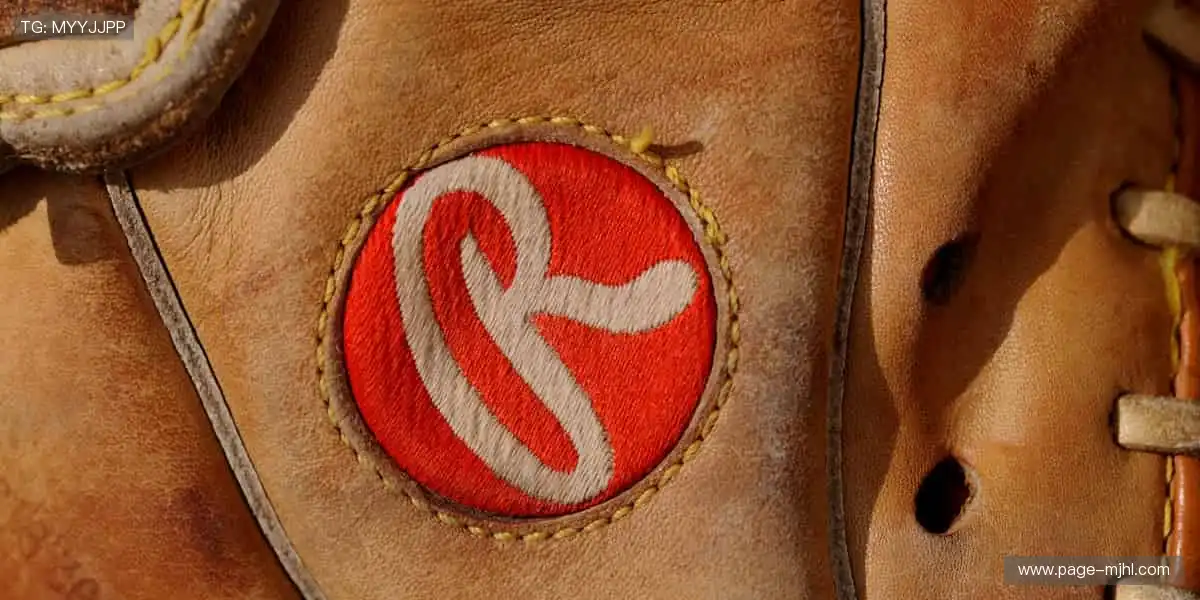 🎉 冠军之路，与你同在，